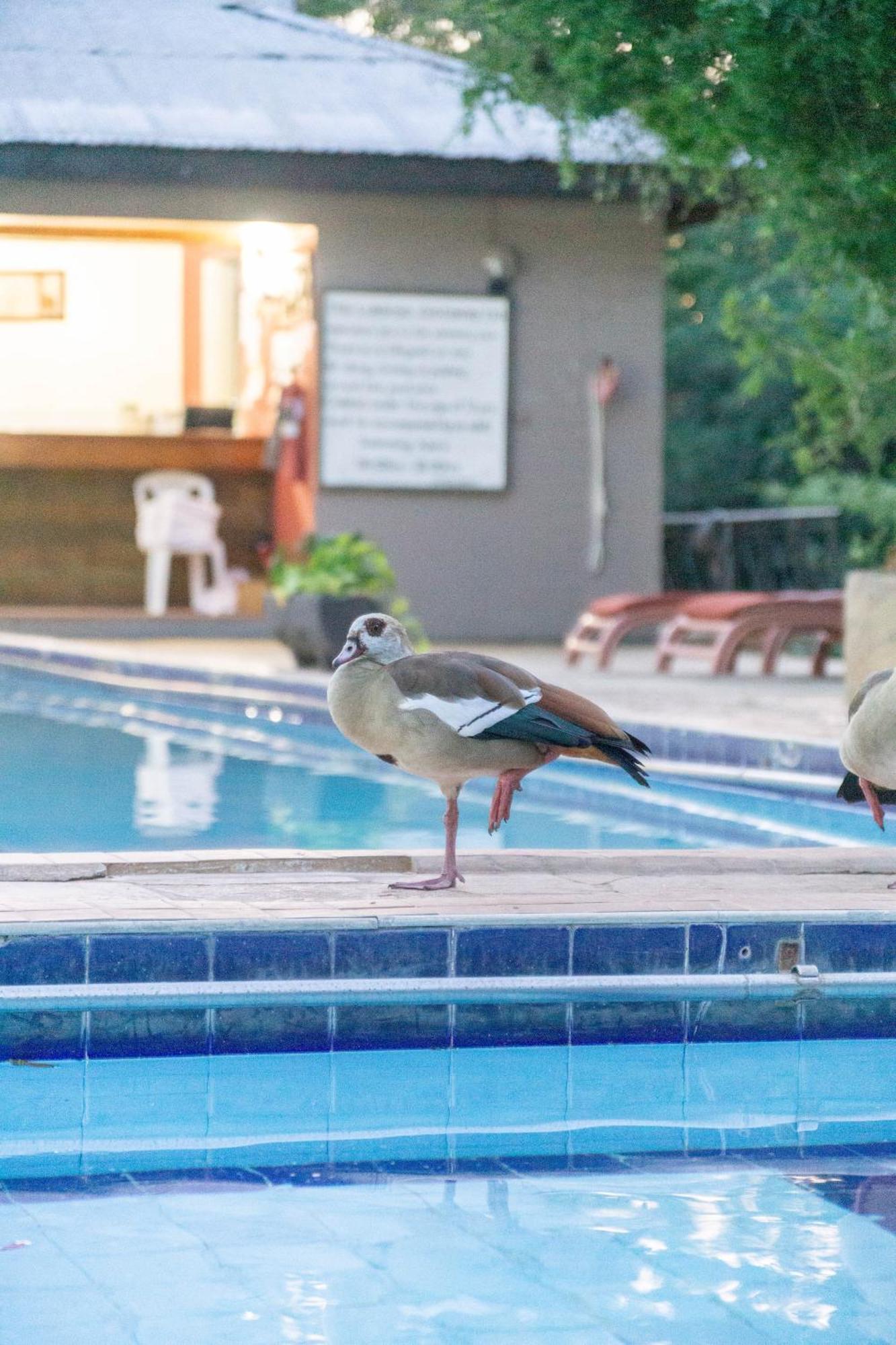 Hotel Lukenya Getaway Athi River Exteriér fotografie