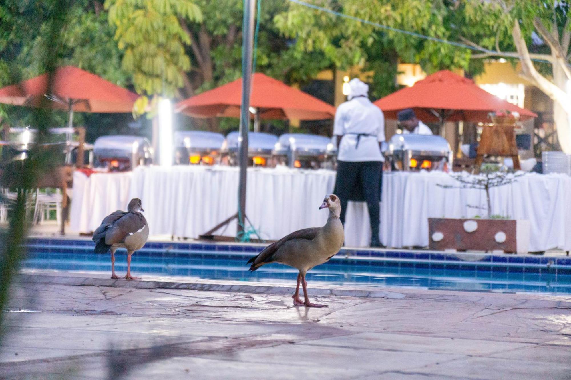 Hotel Lukenya Getaway Athi River Exteriér fotografie