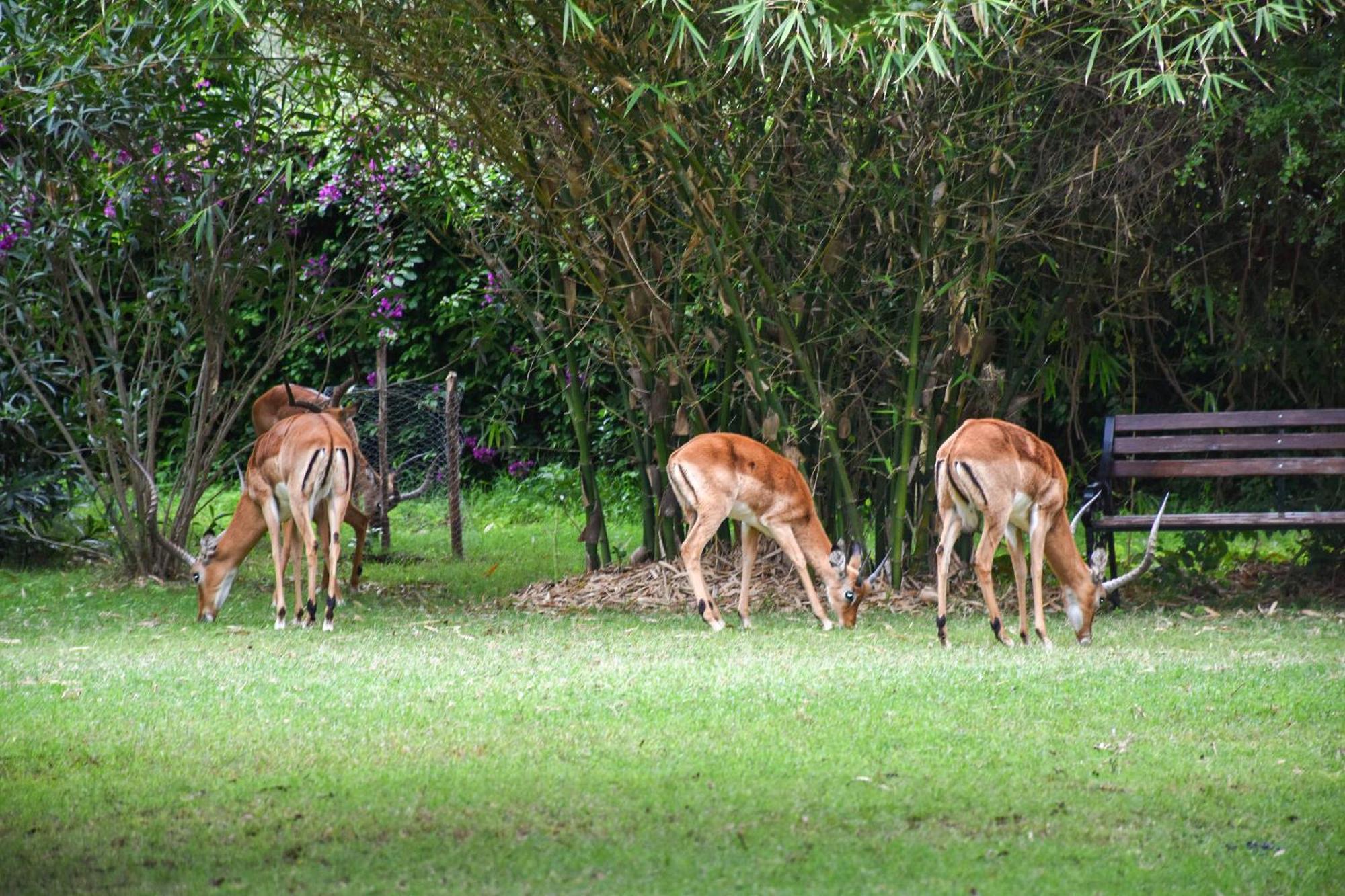 Hotel Lukenya Getaway Athi River Exteriér fotografie