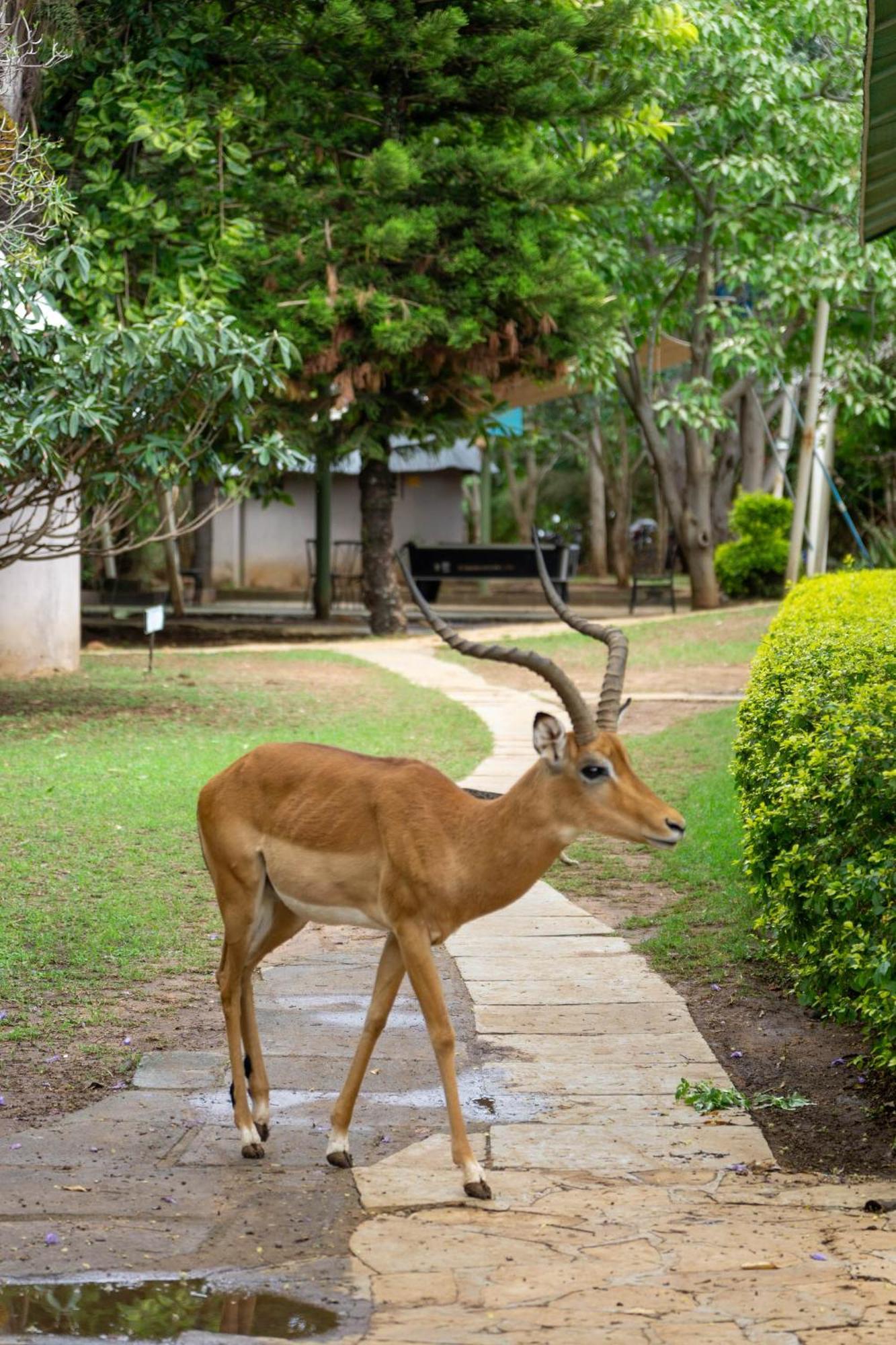 Hotel Lukenya Getaway Athi River Exteriér fotografie